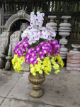 Chậu hoa cổ điển