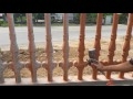 cách ráp và sơn hàng rào bê tông